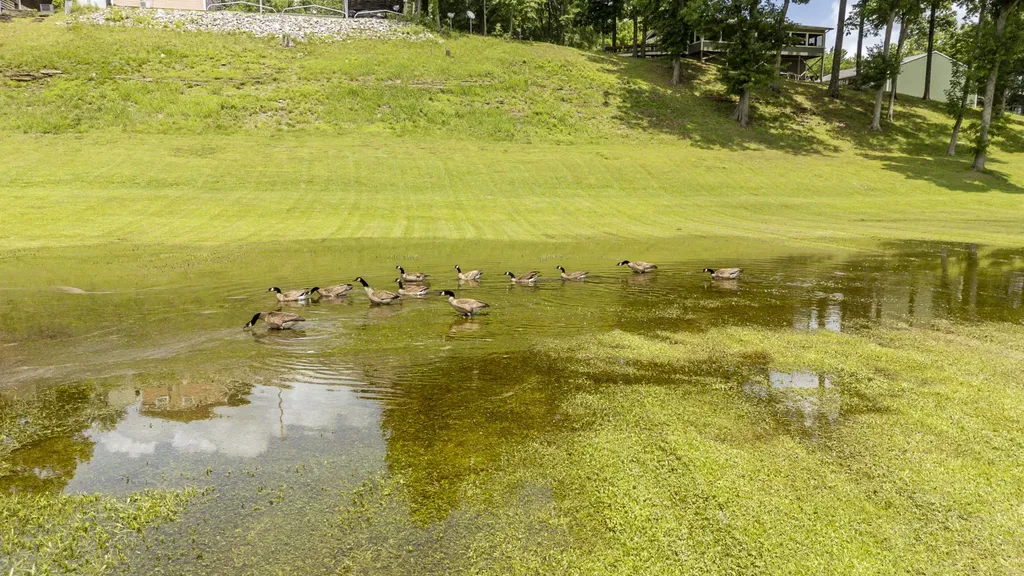 694 River Road Clifton TN 38425