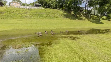 694 River Road Clifton TN 38425
