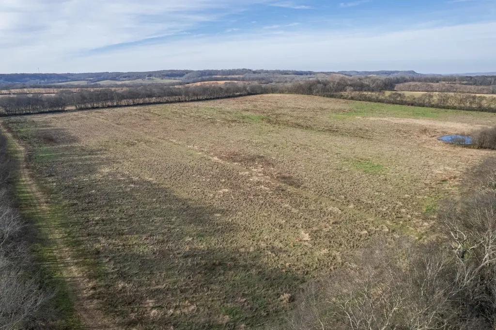 815 S Cross Bridges Road Mount Pleasant TN 38474