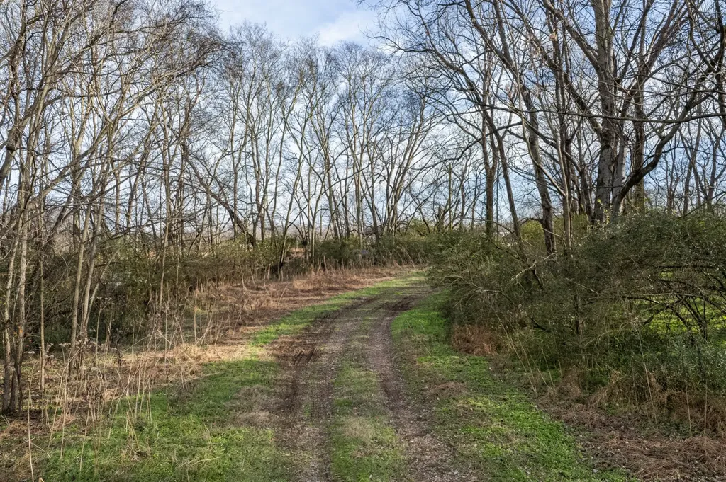 815 S Cross Bridges Road Mount Pleasant TN 38474