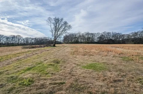 815 S Cross Bridges Road Mount Pleasant TN 38474