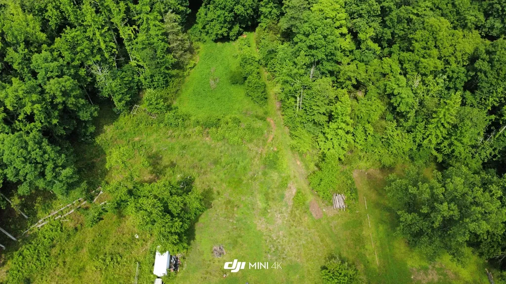 4998 Tranham Road Whites Creek TN 37189