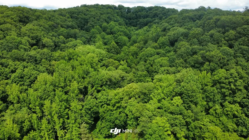 4998 Tranham Road Whites Creek TN 37189