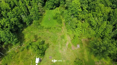 4998 Tranham Road Whites Creek TN 37189
