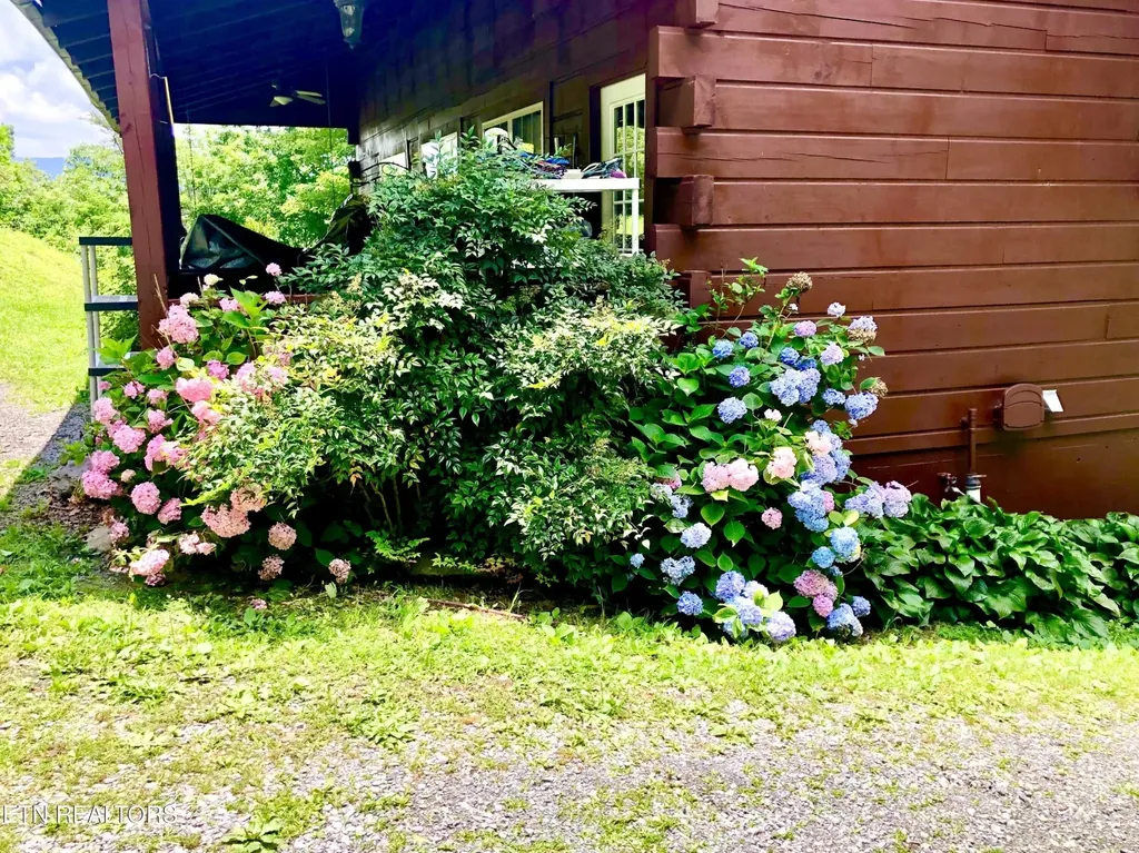 186 Caney Creek Road Reliance TN 37369