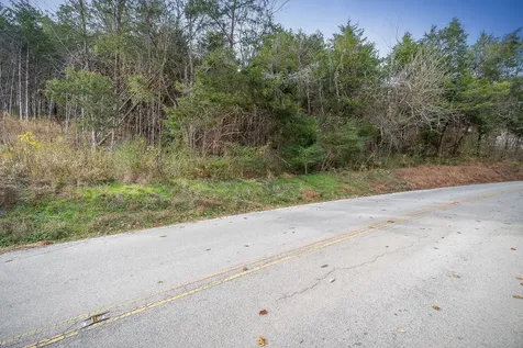 0 Martins Creek Highway Granville TN 38564
