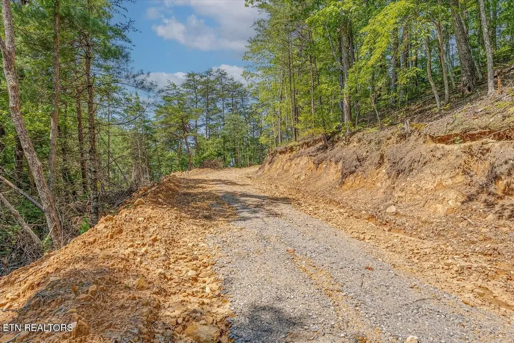1200 Steer Creek Road Tellico Plains TN 37385