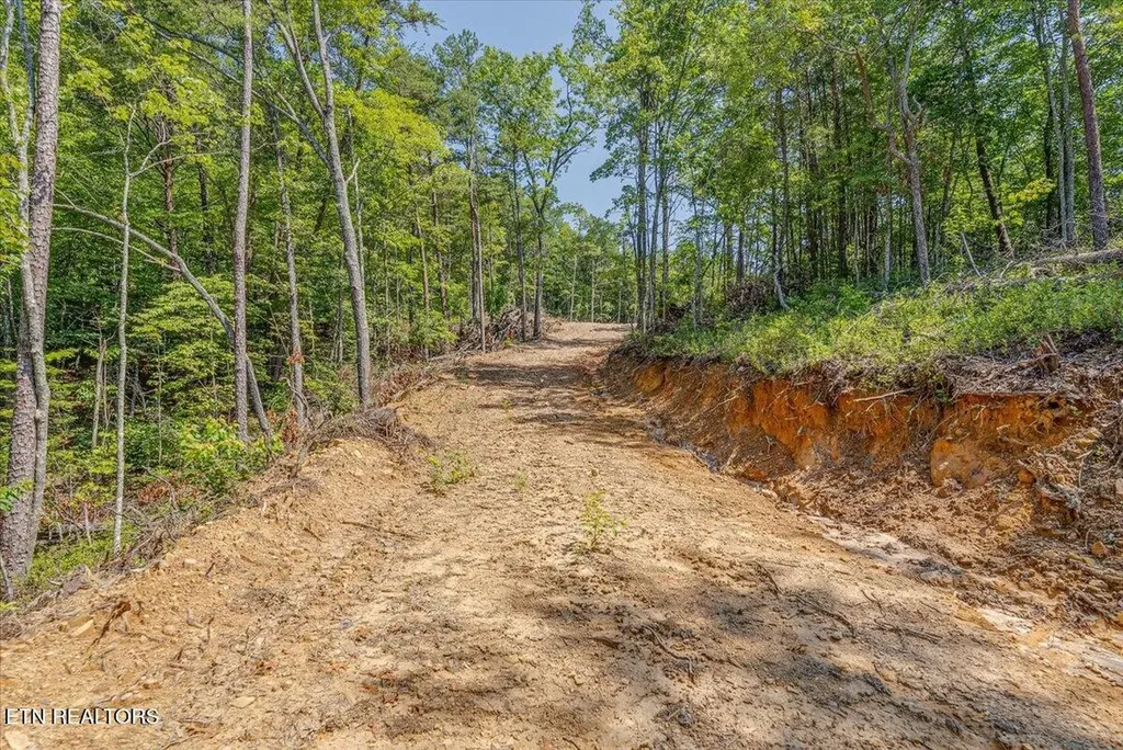 1200 Steer Creek Road Tellico Plains TN 37385