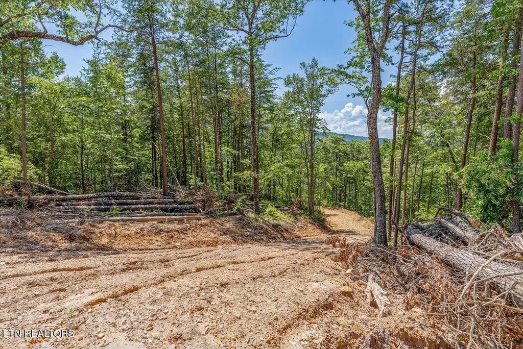1200 Steer Creek Road Tellico Plains TN 37385