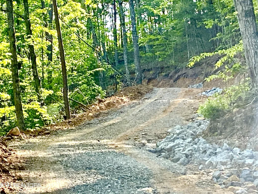 1200 Steer Creek Road Tellico Plains TN 37385