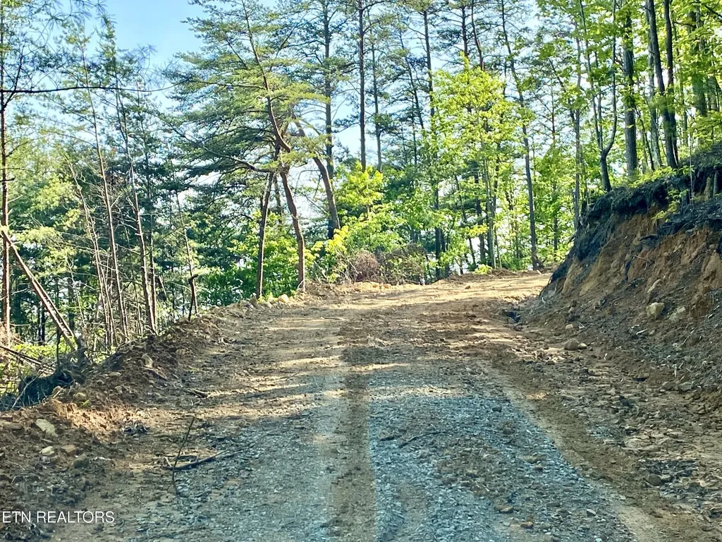 1200 Steer Creek Road Tellico Plains TN 37385
