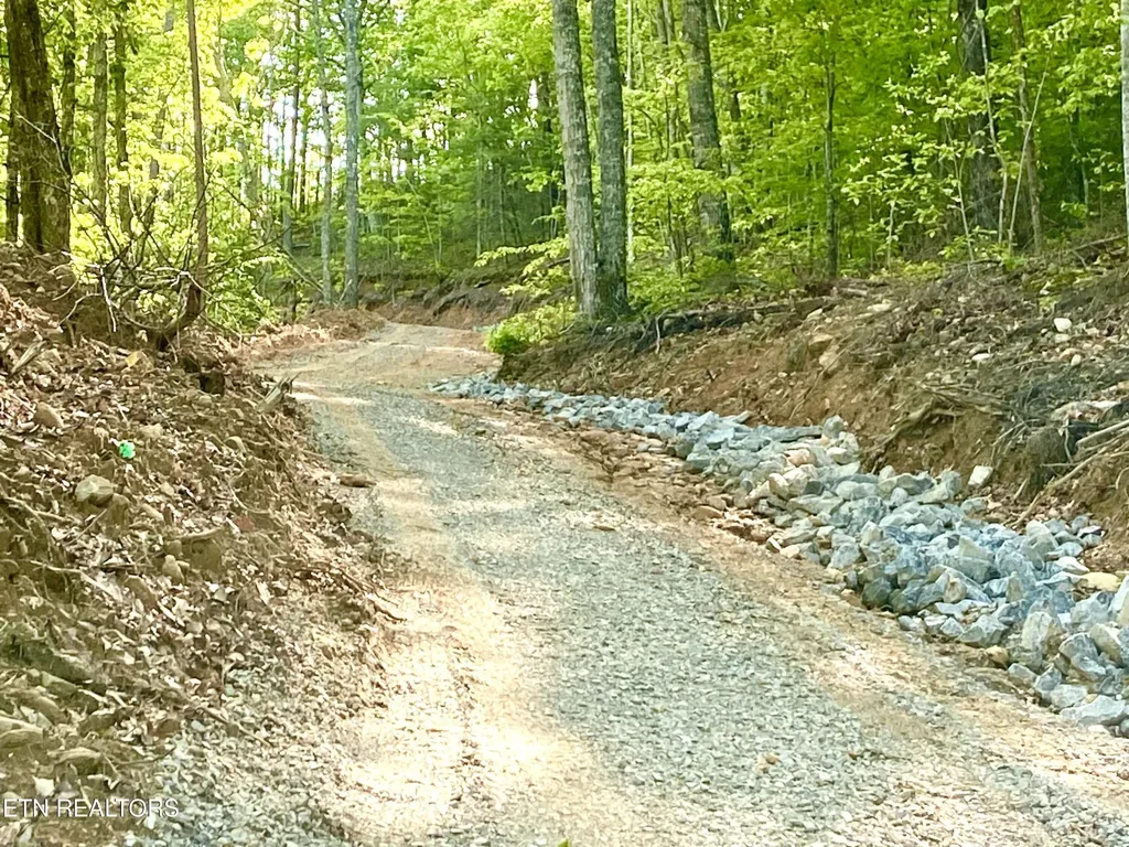 1200 Steer Creek Road Tellico Plains TN 37385