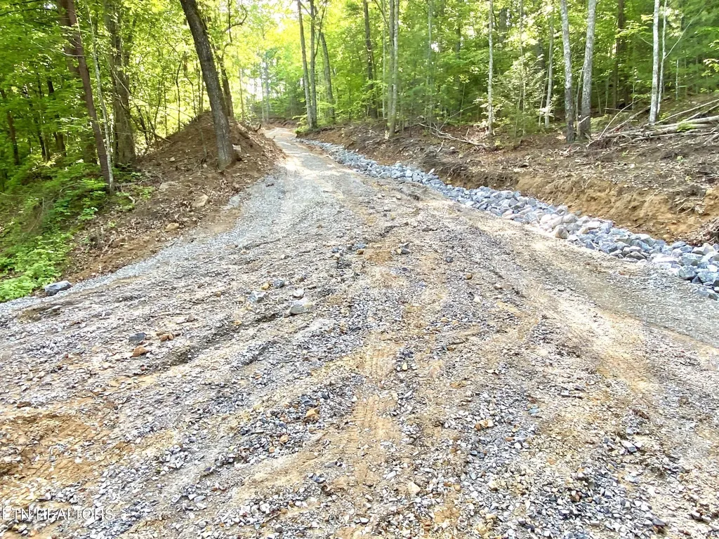 1200 Steer Creek Road Tellico Plains TN 37385