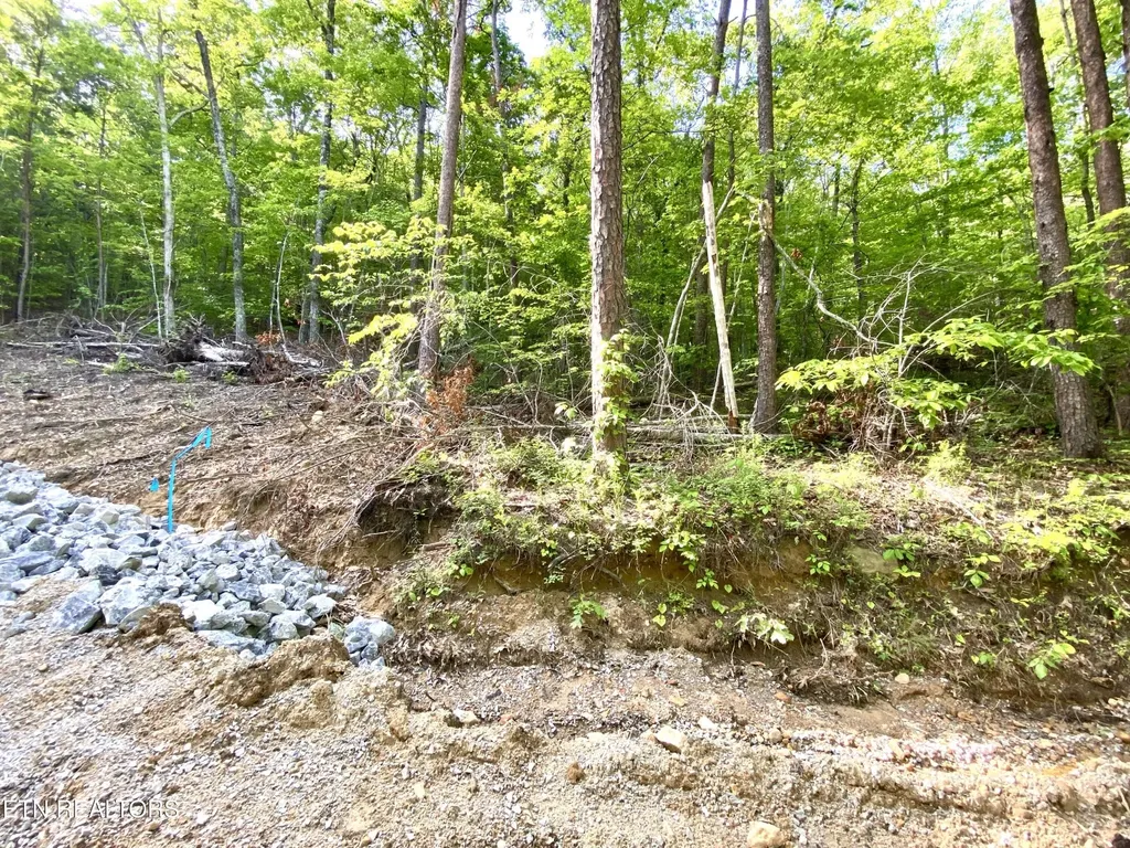 1200 Steer Creek Road Tellico Plains TN 37385