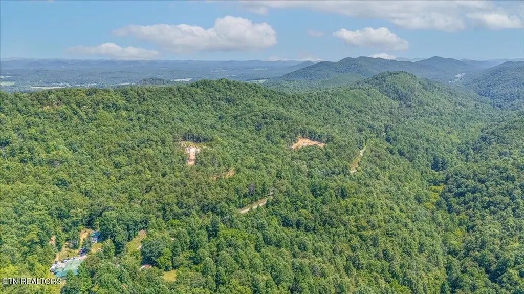 1200 Steer Creek Road Tellico Plains TN 37385