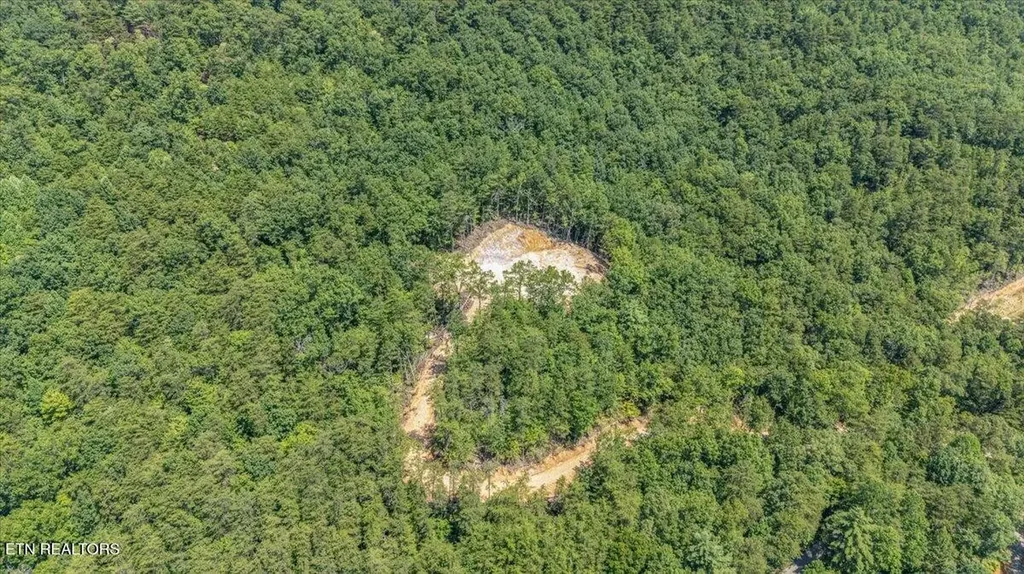 1200 Steer Creek Road Tellico Plains TN 37385