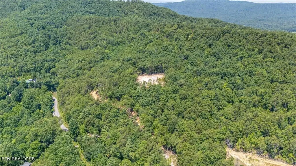 1200 Steer Creek Road Tellico Plains TN 37385