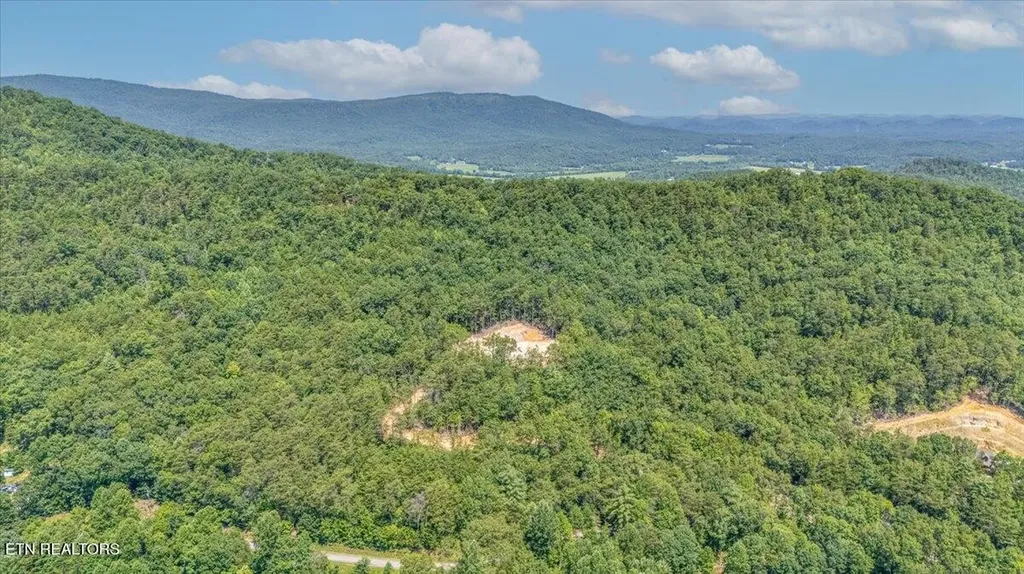 1200 Steer Creek Road Tellico Plains TN 37385