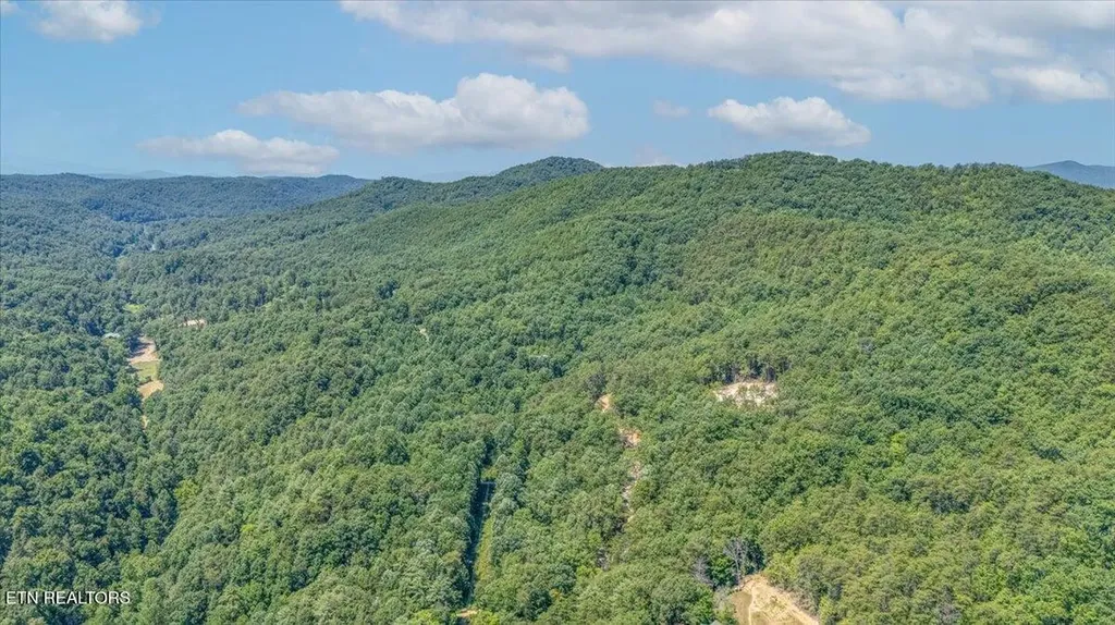 1200 Steer Creek Road Tellico Plains TN 37385