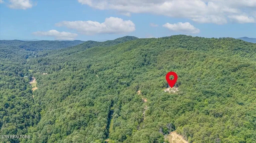 1200 Steer Creek Road Tellico Plains TN 37385