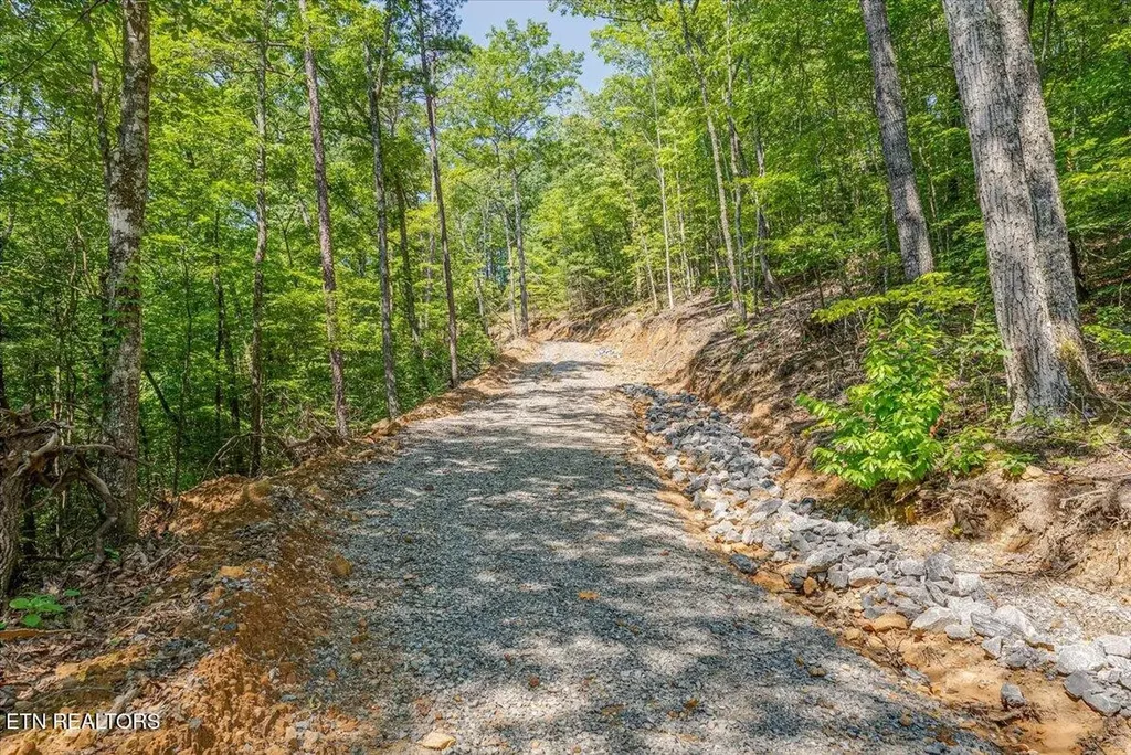 1200 Steer Creek Road Tellico Plains TN 37385