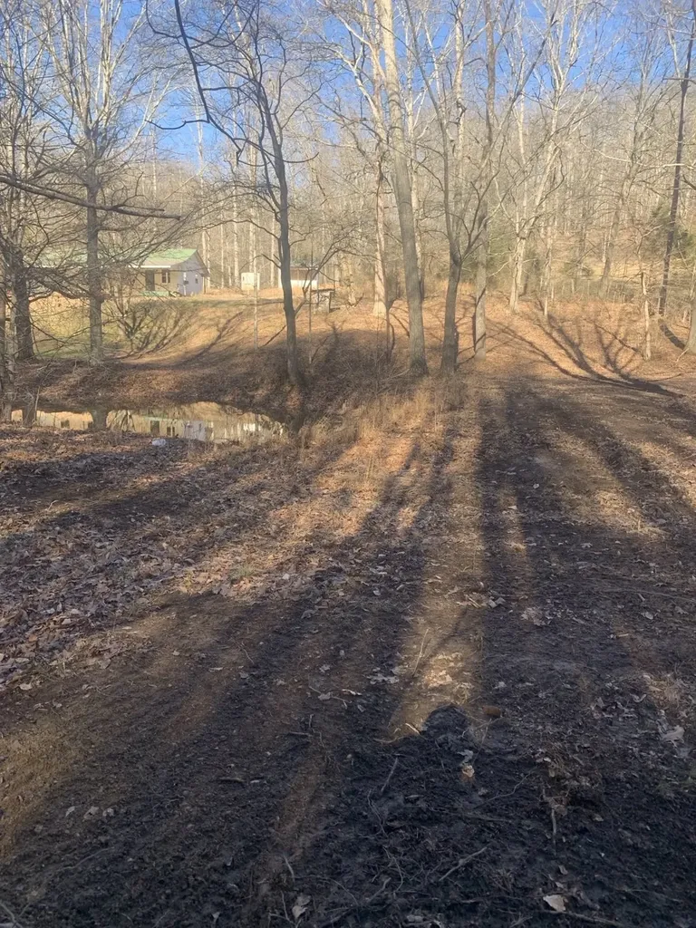 1252 Kelly Road Centerville TN 37033