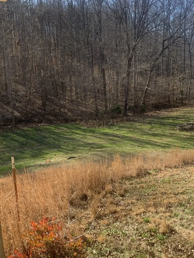 1252 Kelly Road Centerville TN 37033