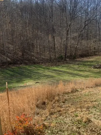 1252 Kelly Road Centerville TN 37033