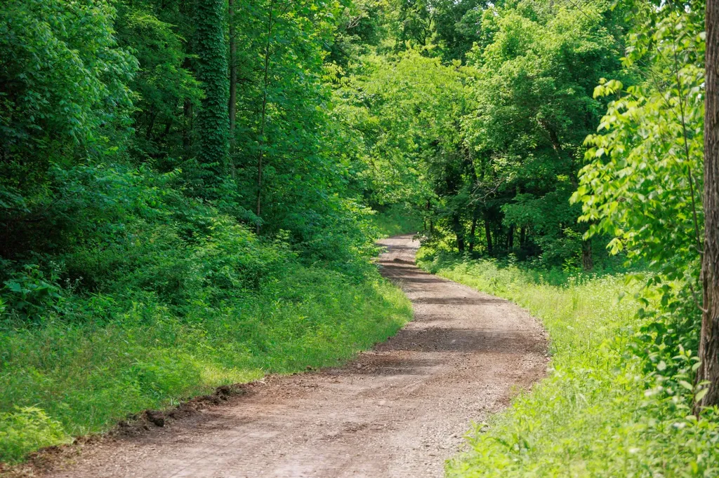 582 Cedar Bend Road Beechgrove TN 37018