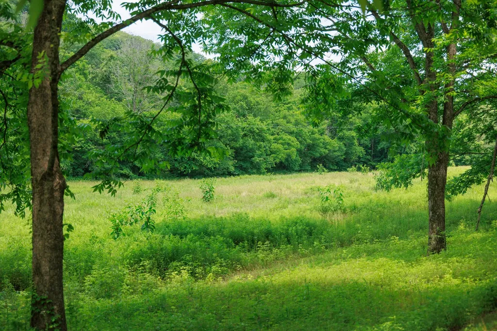 582 Cedar Bend Road Beechgrove TN 37018