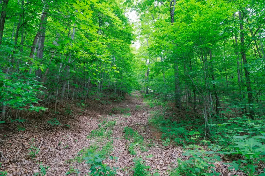 582 Cedar Bend Road Beechgrove TN 37018