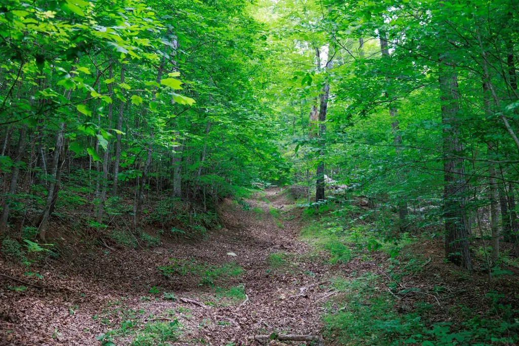 582 Cedar Bend Road Beechgrove TN 37018