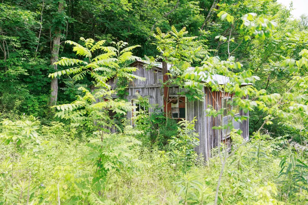 582 Cedar Bend Road Beechgrove TN 37018