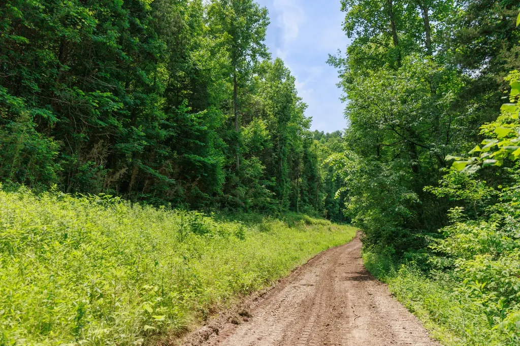 582 Cedar Bend Road Beechgrove TN 37018