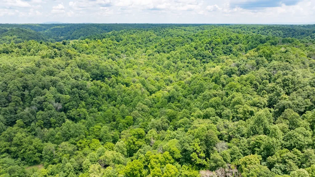582 Cedar Bend Road Beechgrove TN 37018
