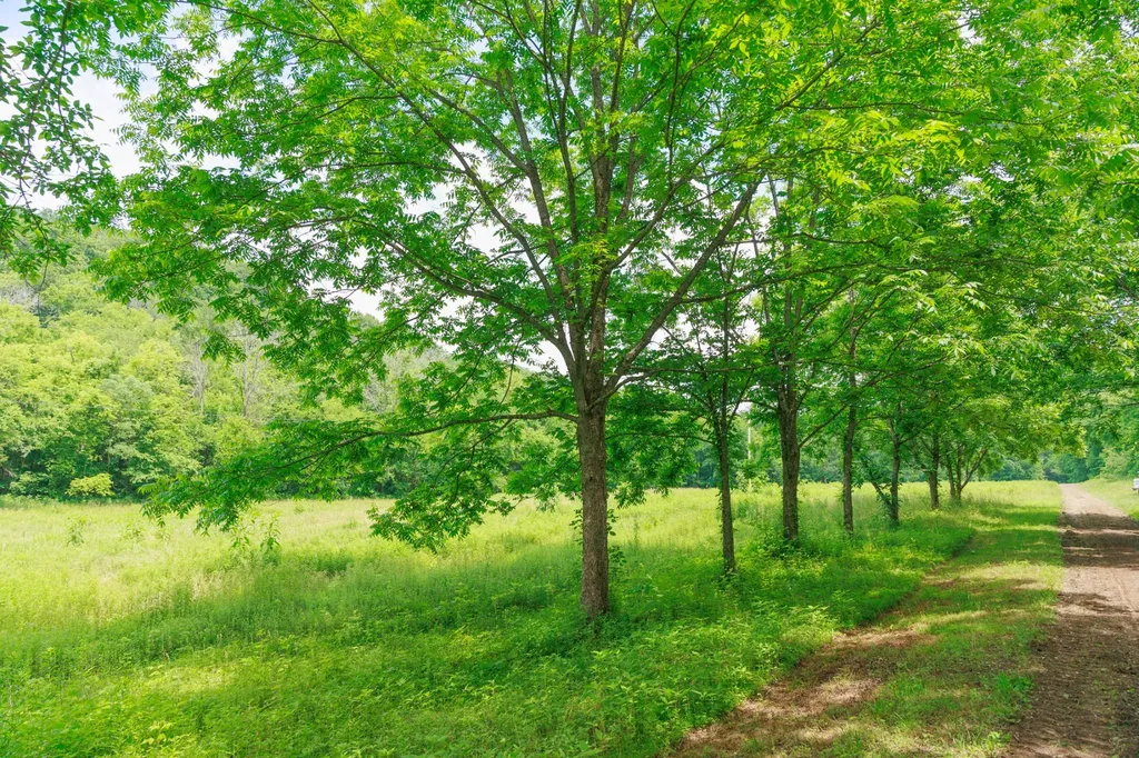 582 Cedar Bend Road Beechgrove TN 37018