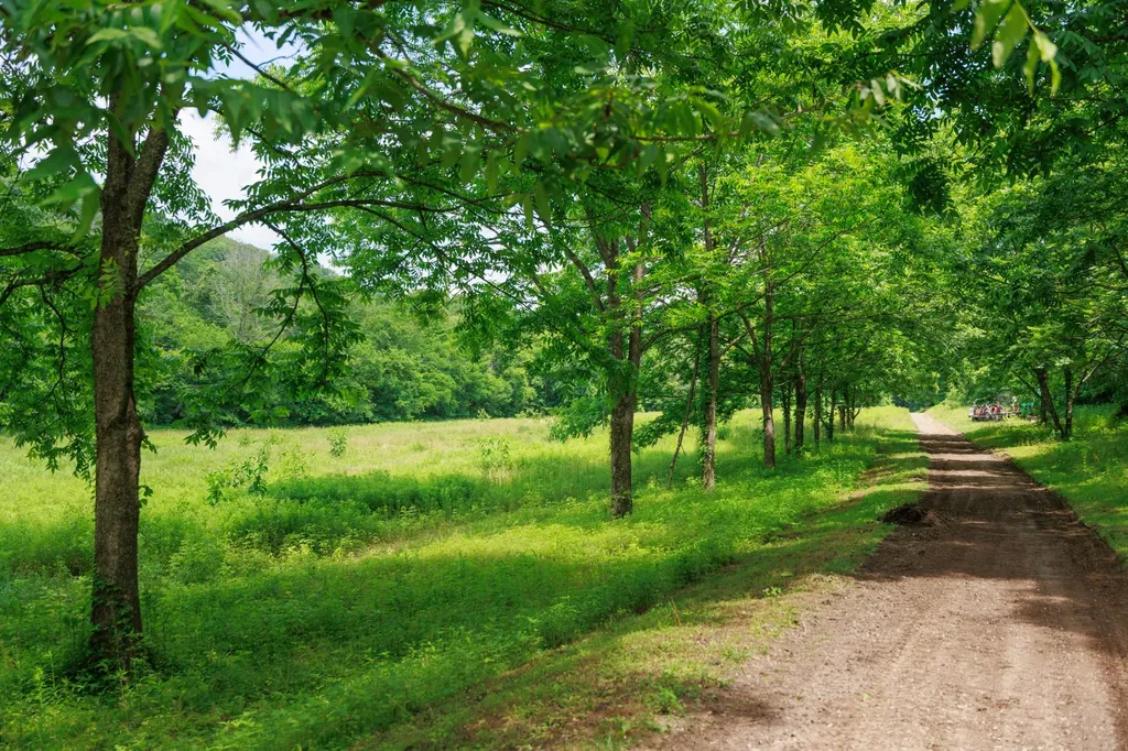 582 Cedar Bend Road Beechgrove TN 37018