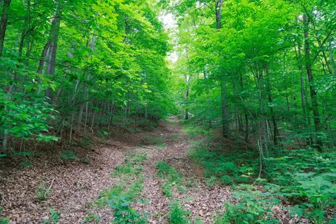 582 Cedar Bend Road Beechgrove TN 37018