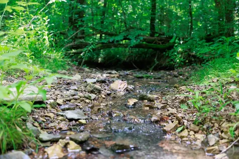582 Cedar Bend Road Beechgrove TN 37018