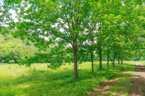 582 Cedar Bend Road Beechgrove TN 37018