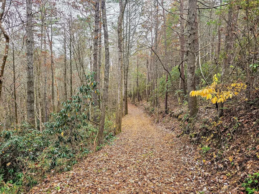 138 Bowater Road Tellico Plains TN 37385