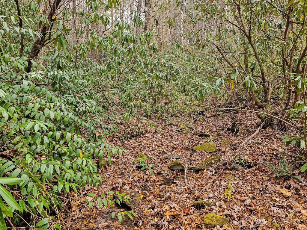 138 Bowater Road Tellico Plains TN 37385