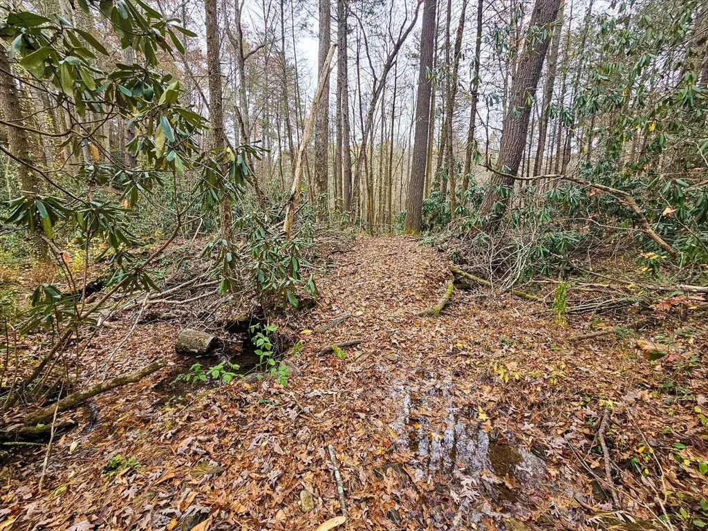 138 Bowater Road Tellico Plains TN 37385