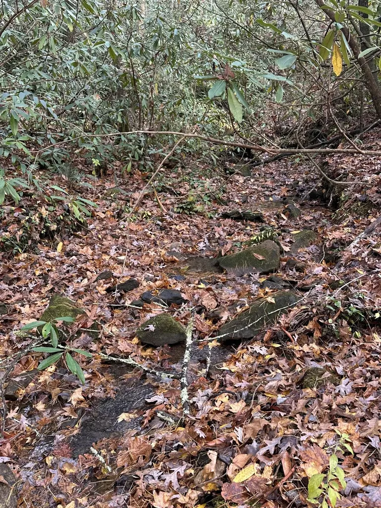138 Bowater Road Tellico Plains TN 37385