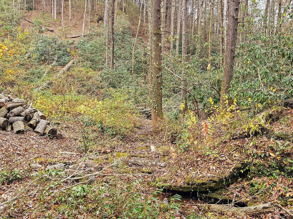 138 Bowater Road Tellico Plains TN 37385