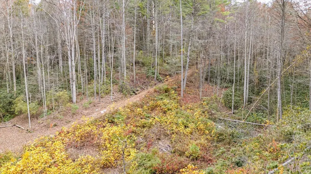 138 Bowater Road Tellico Plains TN 37385