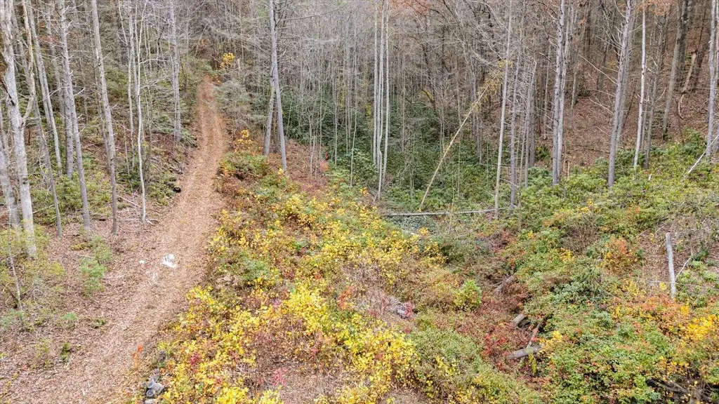 138 Bowater Road Tellico Plains TN 37385