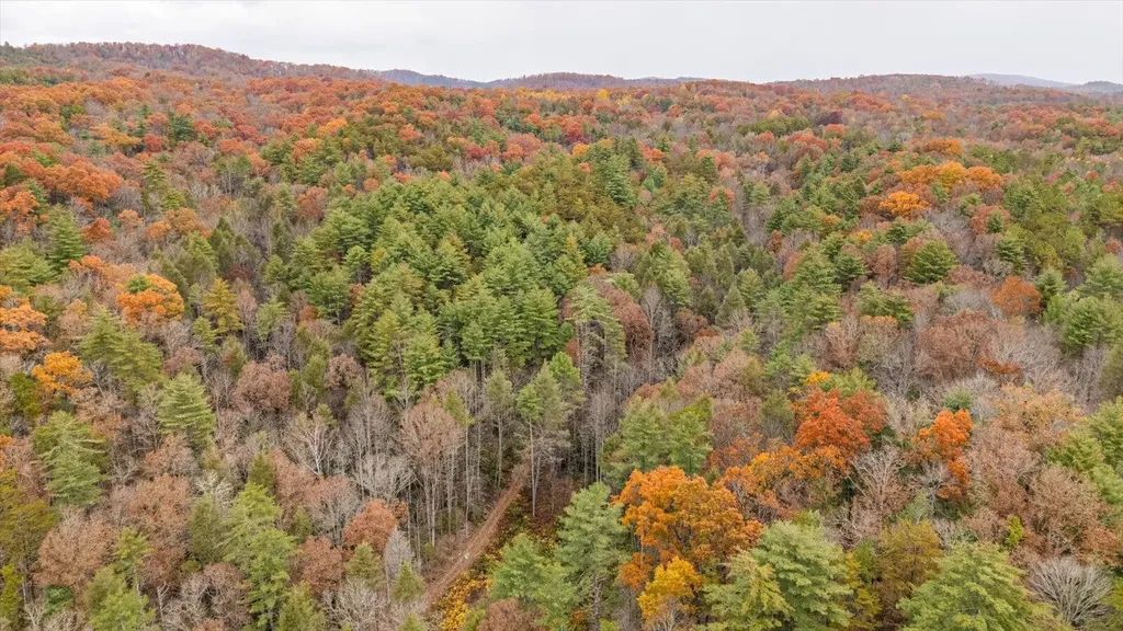 138 Bowater Road Tellico Plains TN 37385