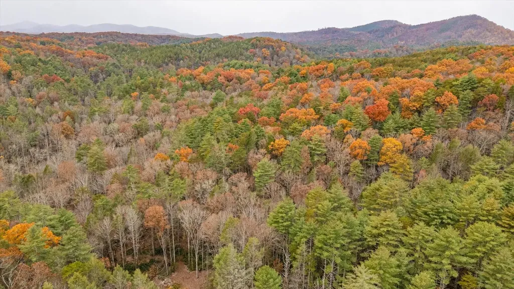 138 Bowater Road Tellico Plains TN 37385