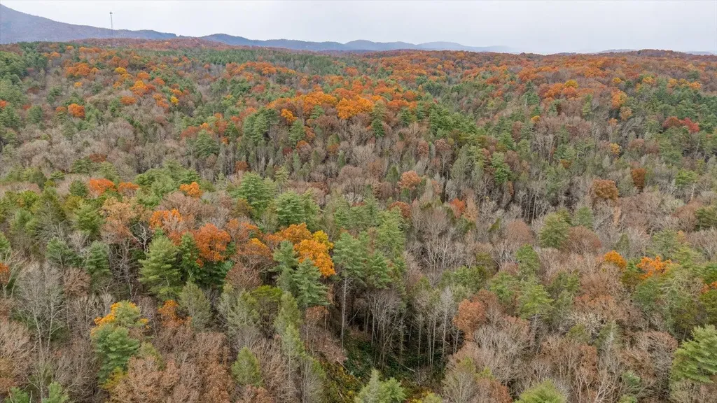 138 Bowater Road Tellico Plains TN 37385
